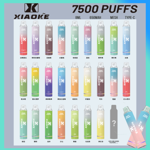 SP2S一代经典通用煙蛋【買十送主機】