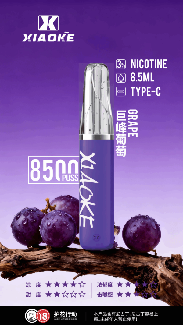 xiaoke梟客拋棄式8500口口紅款💄